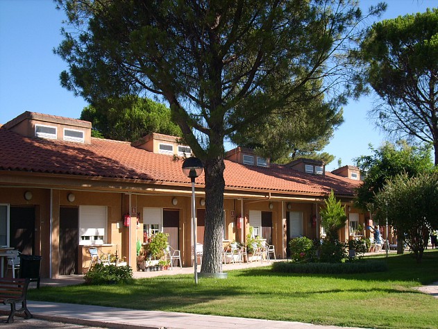 Casa-de-acogida-Albacete Casa-de-acogida-Albacete